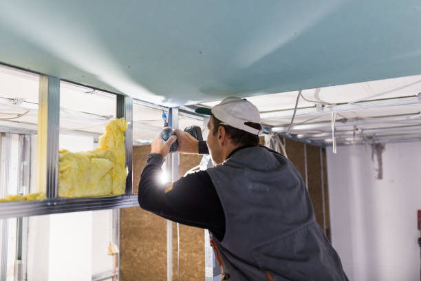 Best Insulation Installation Services in Mount Gilead, OH